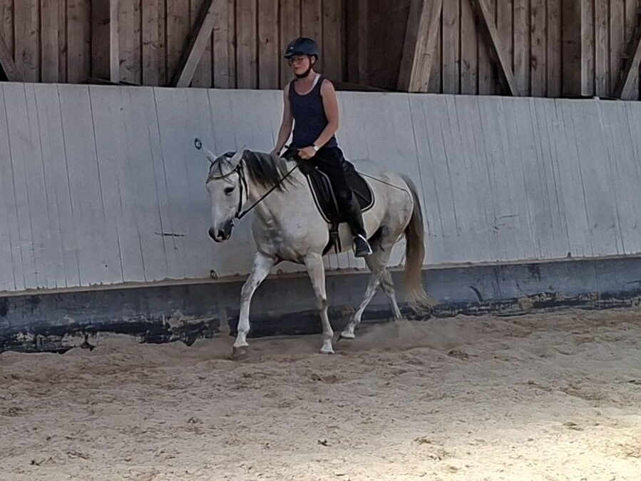 Frau reitet auf weissem Pferd im Trab in einer Reithalle