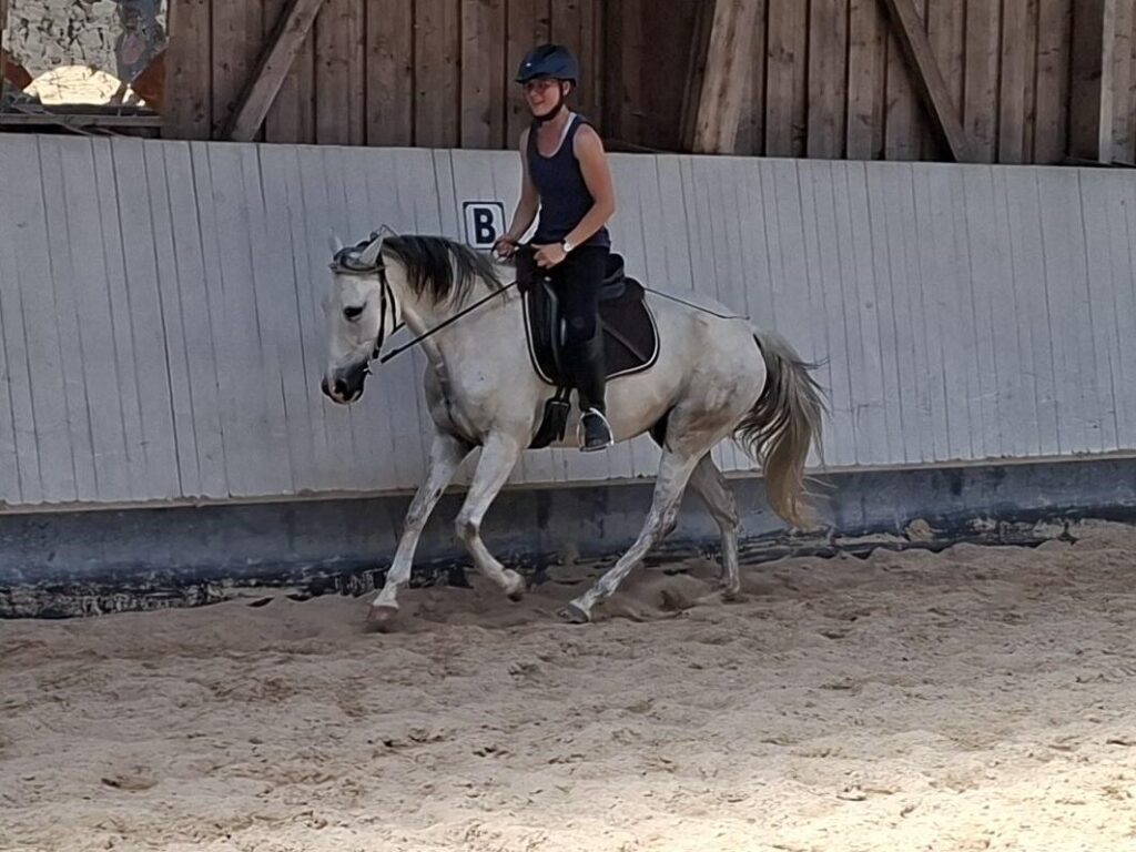 Frau reitet auf weissem Pferd im Galopp in einer Reithalle