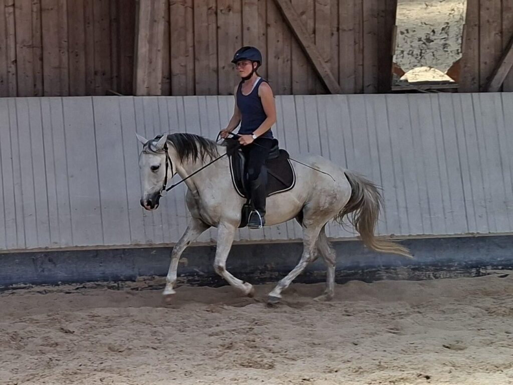 Frau reitet auf weissem Pferd im Galopp in einer Reithalle