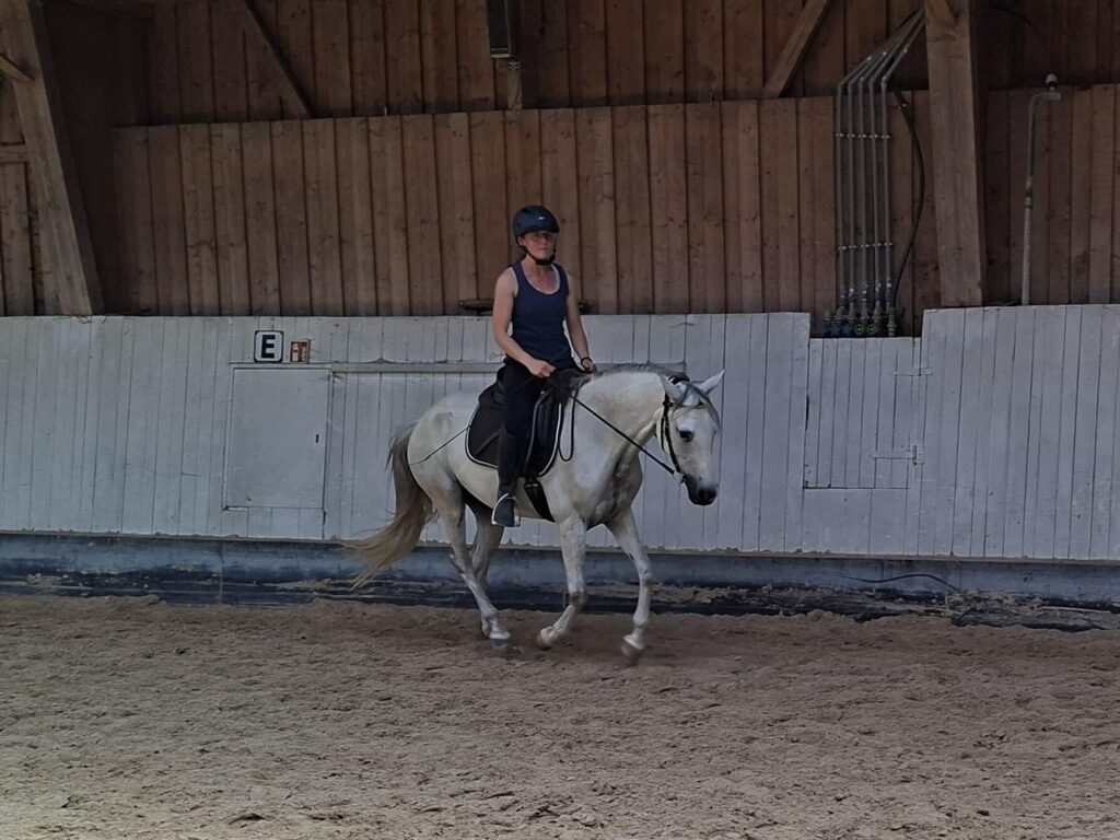 Frau reitet auf weissem Pferd im Galopp in einer Reithalle