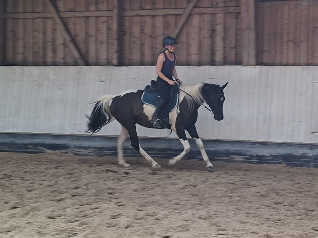 Frau reitet auf schwarz-weiss geschecktem Pferd im Galopp in einer Reithalle