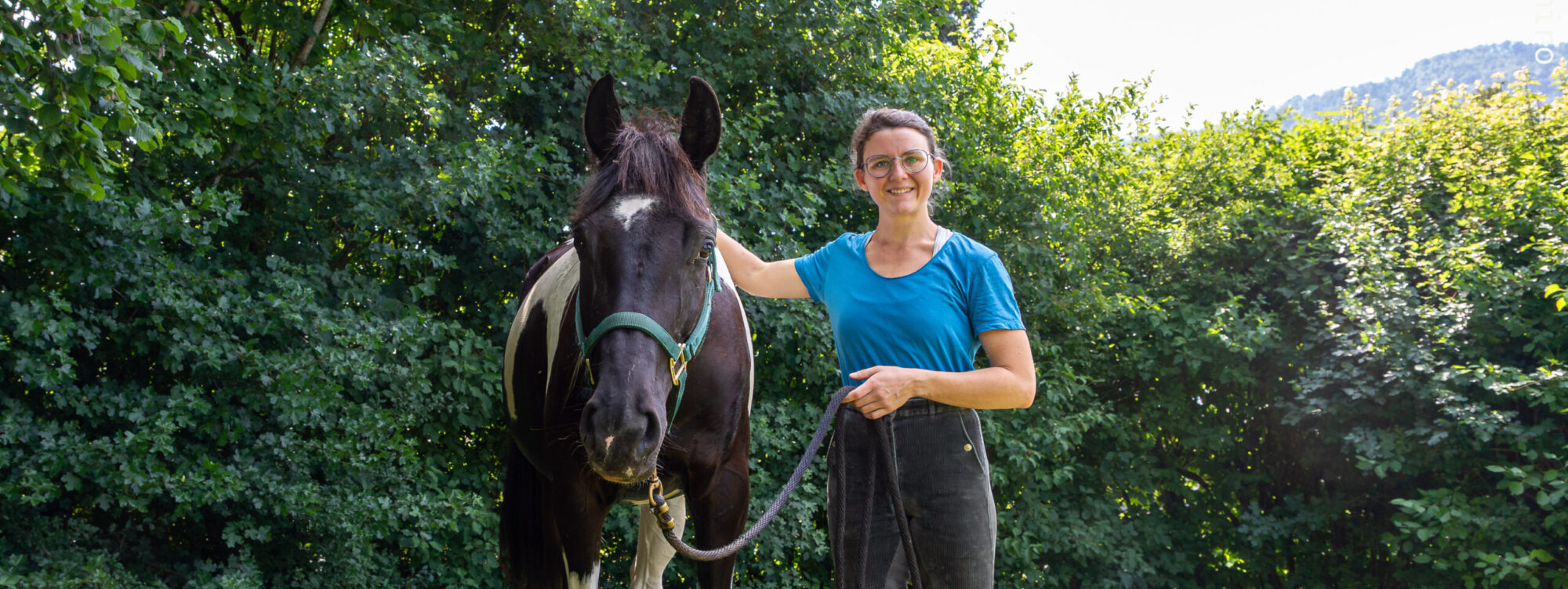 Eine Frau in Reithosen steht neben einem Pferd vor einer Hecke auf einem Rasen