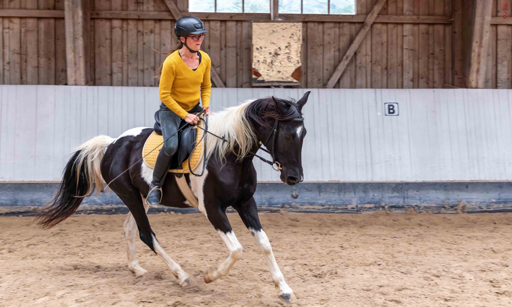Reiterin reitet ein schwarz-weiss geschecktes Pferd in einer Reithalle im Galopp